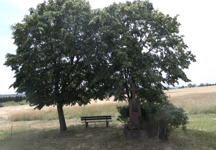 Two large trees provide shade over a bench and a stone cross on a country lane. Fields and a cloudy sky can be seen in the background., &copy; TI Bitburger Land