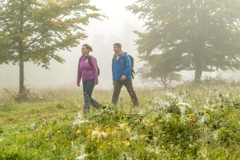 Wanderer gehen durch eine neblige, grüne Landschaft. Bunte Blumen und Bäume umgeben sie.