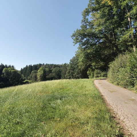 A narrow path runs along the edge of a forest, surrounded by green meadows and trees. The sky is clear and blue., © Tourist-Information Bitburger Land