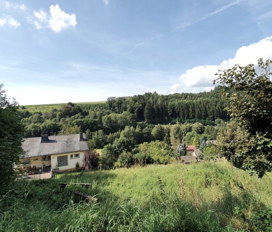 Grüne Landschaft mit einem Haus im Vordergrund, umgeben von Bäumen und Hügeln unter einem blauen Himmel mit wenigen Wolken., © Tourist-Information Bitburger Land