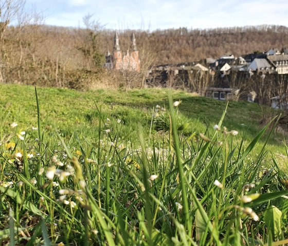 Vue sur la basilique Saint-Sauveur de Prüm depuis le sentier de randonnée, © Tourist-Information Prümer Land