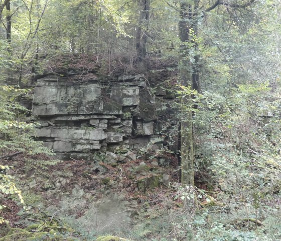 A rock formation in the forest, surrounded by dense foliage and trees. The rocks are overgrown with moss and plants., © TI Bitburger Land