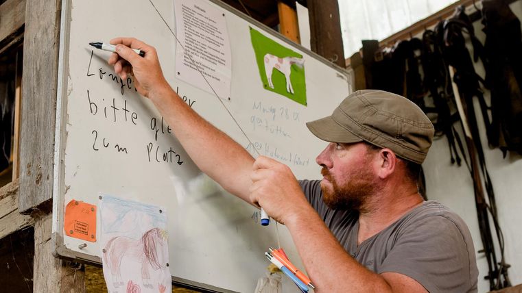Ein Mann schreibt an eine Tafel in einem Stall. Auf der Tafel sind Notizen und eine Grafik eines Pferdes zu sehen.