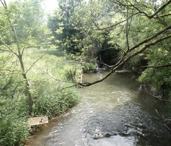 De wandelroute kruist de Nims, © TI Bitburger Land