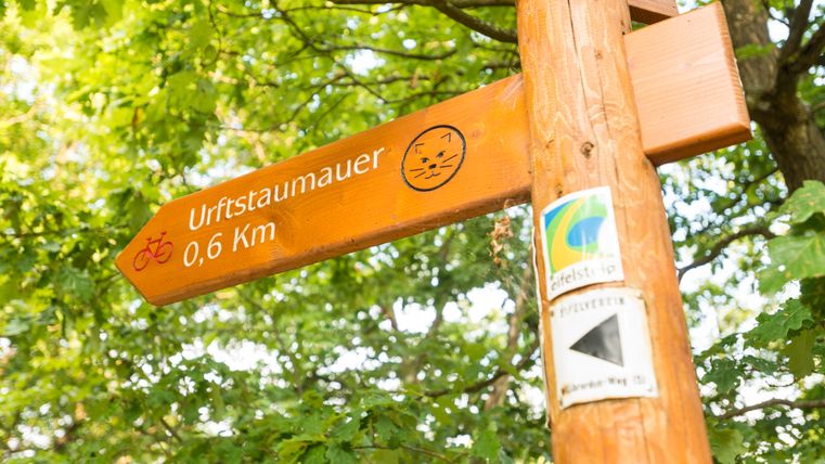 Wegweiser im Wald mit Hinweis zur Urftstaumauer, 0,6 km entfernt.