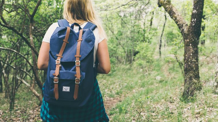 Eine Person mit einem Rucksack wandert durch einen grünen Wald. Umgebende Bäume und Sträucher schaffen eine ruhige Naturatmosphäre.