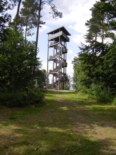Wooden lookout tower in the forest with a blue sky in the background.