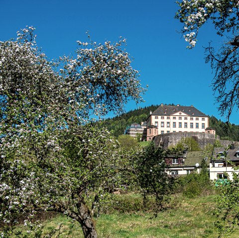 Schloss Malberg thront auf einem Hügel, umgeben von blühenden Bäumen und Häusern. Der Himmel ist klar und blau., © Tourist-Information Bitburger Land_Monika Mayer