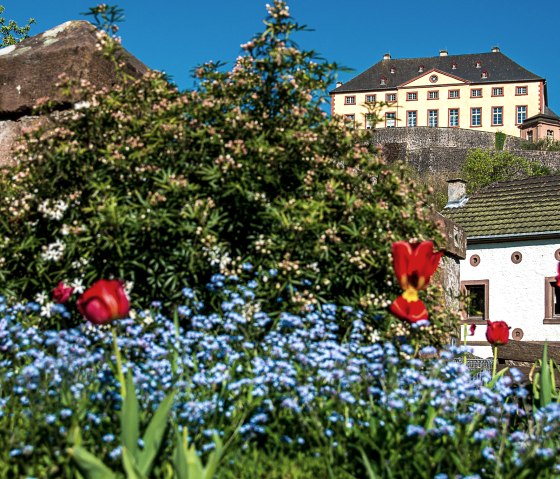 Malberg Castle towers over a blooming garden with red tulips and blue flowers. A white building with green roof tiles is also visible., © Tourist-Information Bitburger Land_Monika Mayer