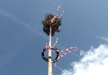 Maibaum, © Pixabay