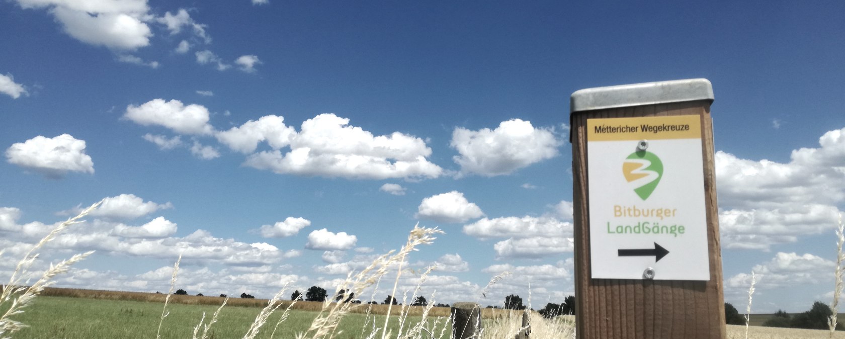 Wegwijzer voor Bitburger LandGänge in een groen landschap onder een blauwe hemel met witte wolken., © Tourist-Infomration Bitburger Land