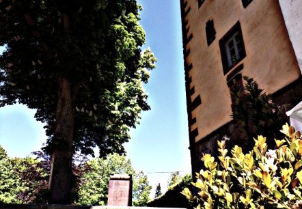 Historisches Gebäude mit Fachwerk, Baum und blühenden Blumen im Vordergrund. Klare, sonnige Atmosphäre., © Melanie Lonien