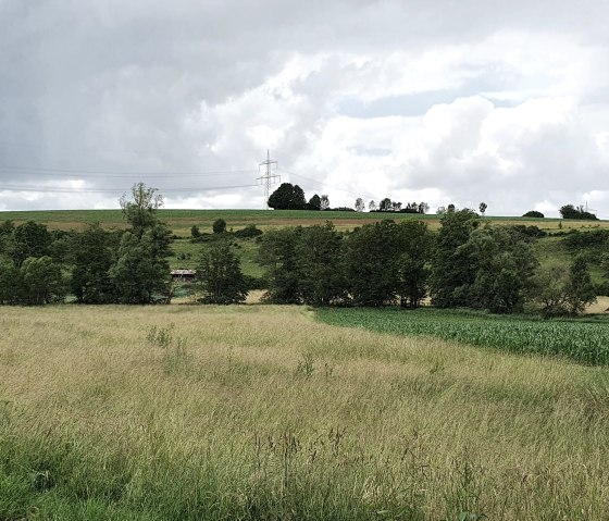 Grüne Felder und Bäume im Bitburger Gutland unter einem bewölkten Himmel. Ein Strommast ist in der Ferne sichtbar.