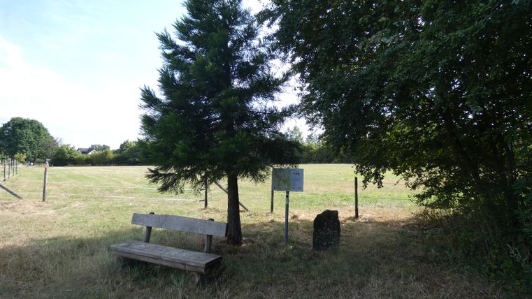 Eine Bank neben einem Baum und einem Schild auf einem Wanderweg mit Blick auf eine Wiese.