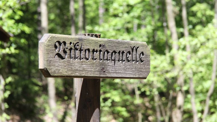 Wooden sign with the inscription 'Viktoriaquelle' in the forest.