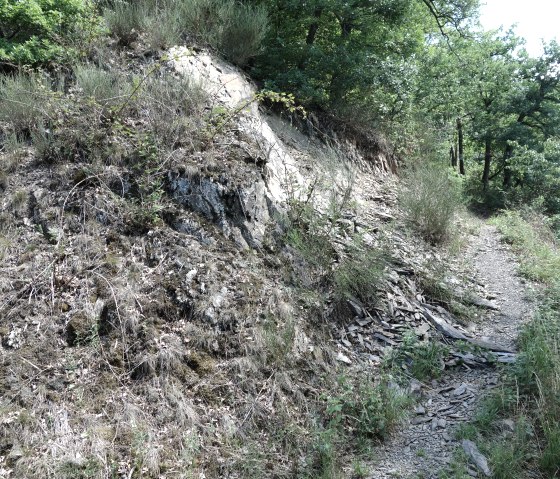 A narrow path runs along a slope with slate stones and grass, surrounded by trees in a wooded area., © TI Bitburger Land