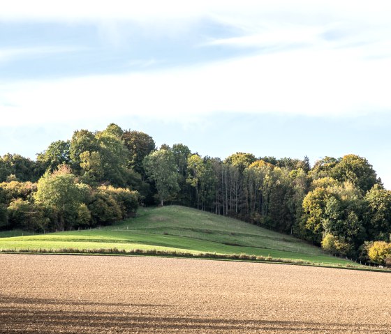 Groene heuvels en bomen in Bitburger LandGang, Oberweis, onder een blauwe hemel met witte wolken., © TI Bitburger Land