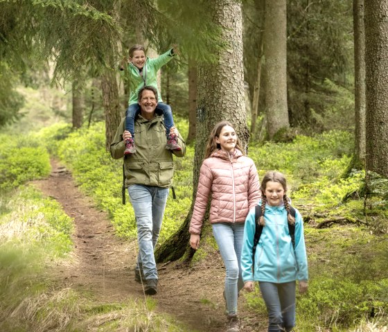 Découverte de la forêt, sentier des contes de Bollendorf, © Eifel Tourismus GmbH, Dominik Ketz