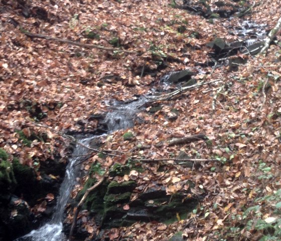 Wandelroute nr. 21 in het Ehlenztal, © Harald Geimer
