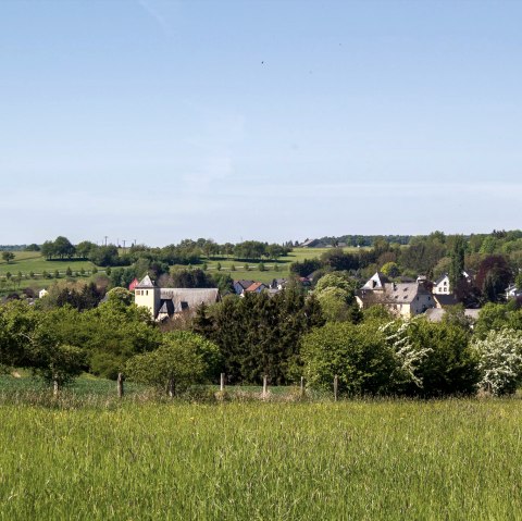 Burg Dudeldorf, © TI Bitburger Land