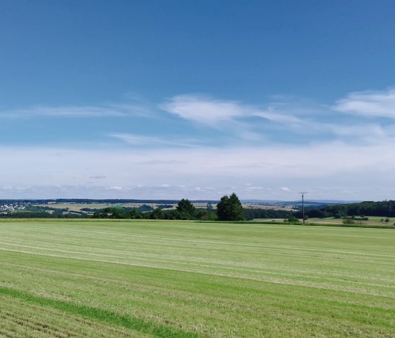 Groene weiden strekken zich uit tot aan een dorp aan de horizon, onder een helderblauwe lucht met lichte wolken., © TI Bitburger Land