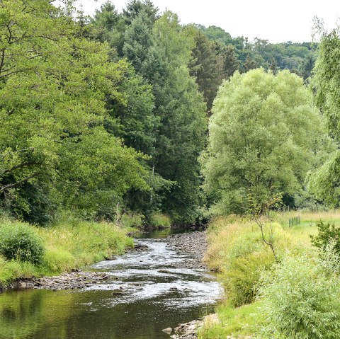 Ein kleiner Fluss schlängelt sich durch eine grüne Landschaft mit Bäumen und Wiesen. Der Himmel ist bewölkt, und das Wasser reflektiert das umgebende Grün., © TI Bitburger Land