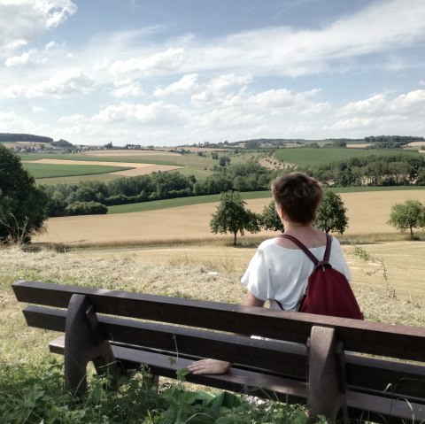 Een persoon met een rode rugzak zit op een bankje en kijkt uit over een weids landschap van velden en bomen onder een blauwe hemel., © TI Bitburger Land