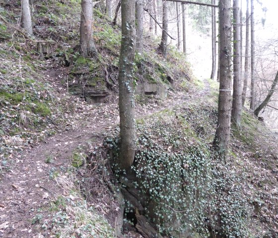 Ein schmaler Pfad schlängelt sich durch einen bewaldeten Hang. Bäume und Efeu säumen den Weg, der leicht ansteigt., © Eifelverein Ortsgruppe Speicher