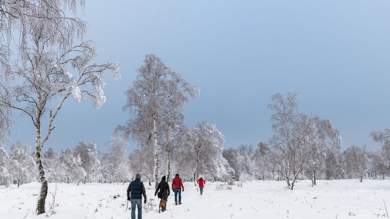 Un groupe de personnes marche à travers un paysage enneigé. Les arbres sont couverts de neige et le ciel est nuageux.