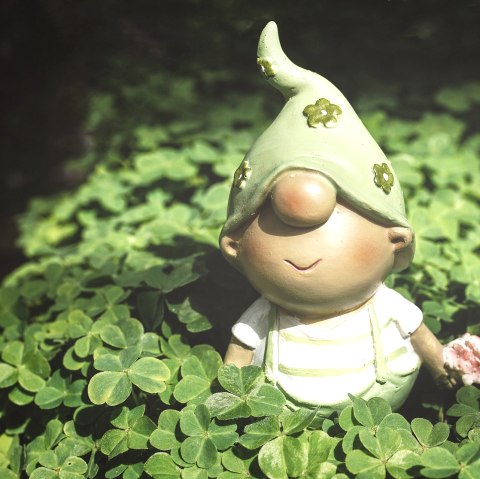 Gnome in the clover, © Pixabay