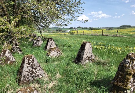Westwall Wanderweg, © TI Islek