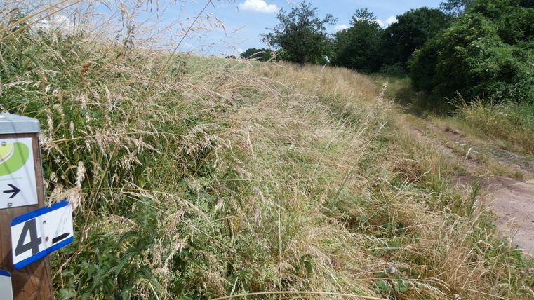 Ein ländlicher Wanderweg mit hohem Gras und einem Wegweiser mit der Nummer 4 in Orenhofen.