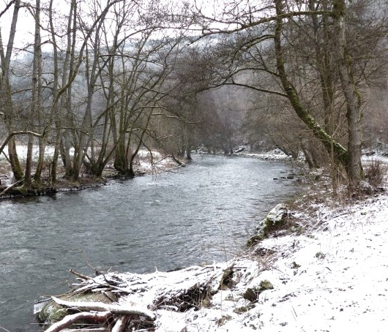 Ein verschneiter Flusslauf mit kahlen Bäumen am Ufer. Der Weg entlang des Flusses ist ebenfalls mit Schnee bedeckt., © Eifelverein Ortsgruppe Speicher