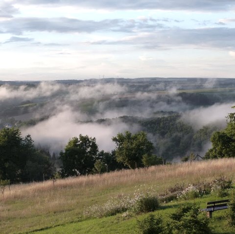 Panoramic view over a green landscape with fog. In the foreground a bench, in the background hills and trees under a cloudy sky., © Eifelverein Ortsgruppe Speicher