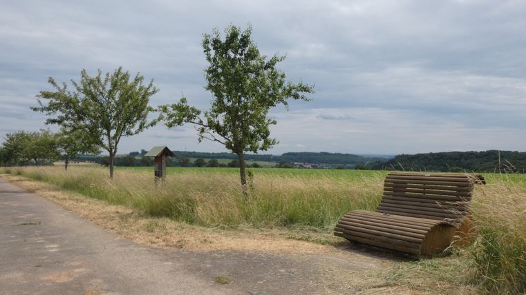 Landschaft mit Bäumen, Bank und Weg.