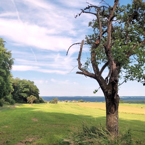 Wanderung Felsenland, © TI Felsenland