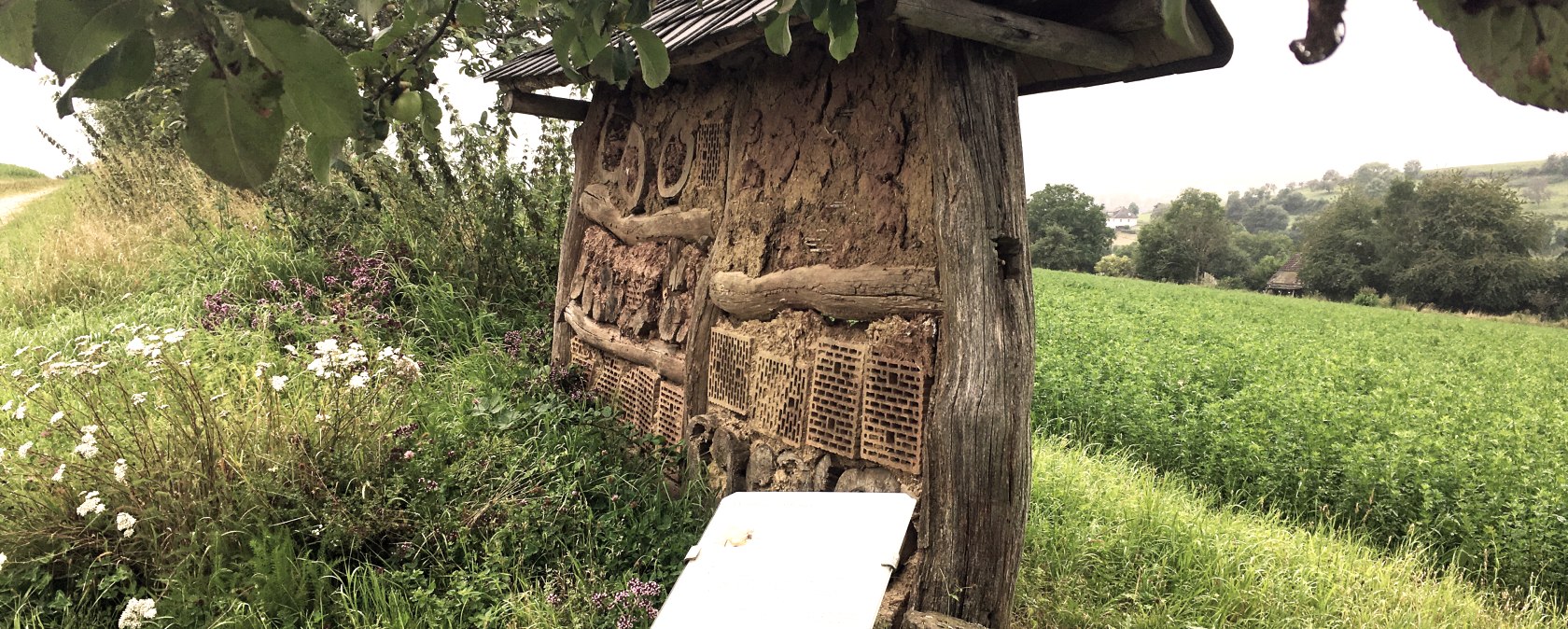 Een insectenhotel van hout en klei staat aan de rand van een groen veld. Een informatiebord geeft informatie over het hotel. Bloeiende planten op de voorgrond., © TI Bitburger Land M.Mayer