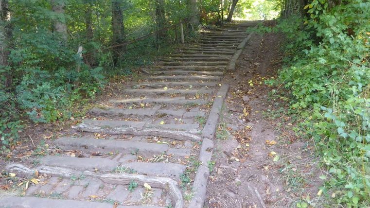 Holztreppe im Wald mit Laub bedeckt.