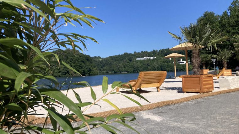 A quiet place by the water with lounge chairs and palm trees. The sky is clear and blue, perfect for relaxing.