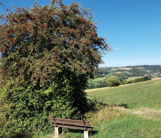 Banc sur une prairie avec vue sur des collines vertes, des arbres et des éoliennes sous un ciel bleu et clair., © TI BItburger Land - Steffi Wagner